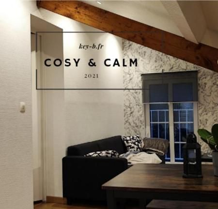 Calm & Cosy Διαμέρισμα Freyming-Merlebach Εξωτερικό φωτογραφία