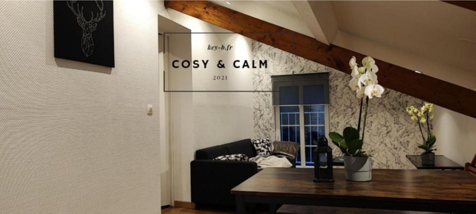 Calm & Cosy Διαμέρισμα Freyming-Merlebach Εξωτερικό φωτογραφία